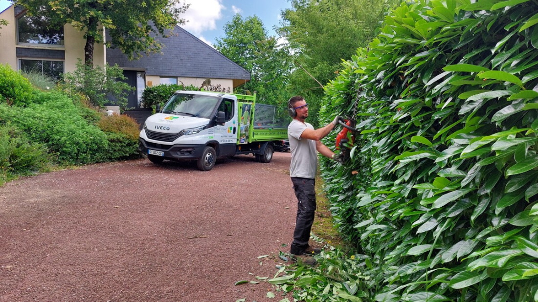 Taille haie interdiction particulier