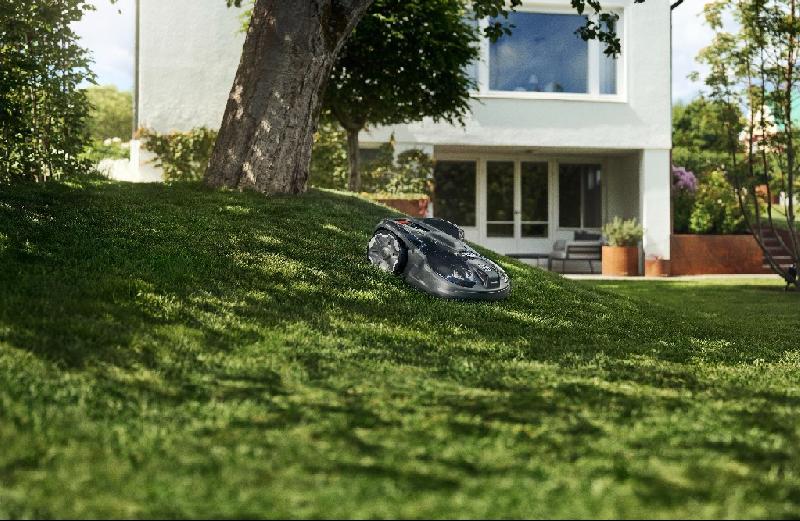 Un gazon parfait dès le printemps