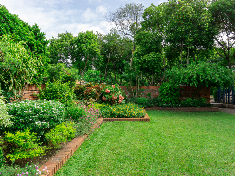 Création du jardin et des espaces verts