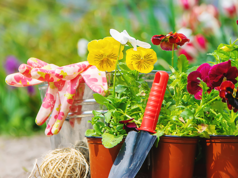 Des professionnels au service de votre jardin