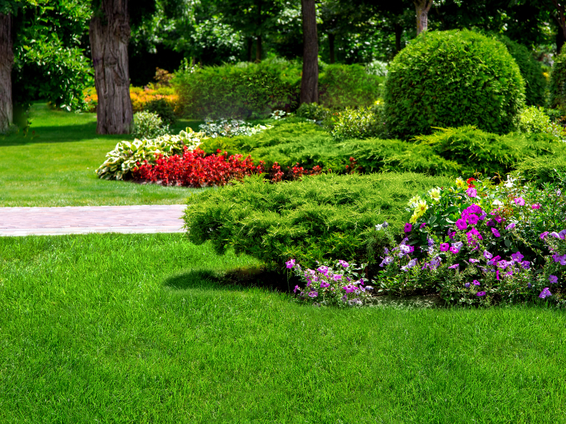 Aménagement Paysager pour votre jardin