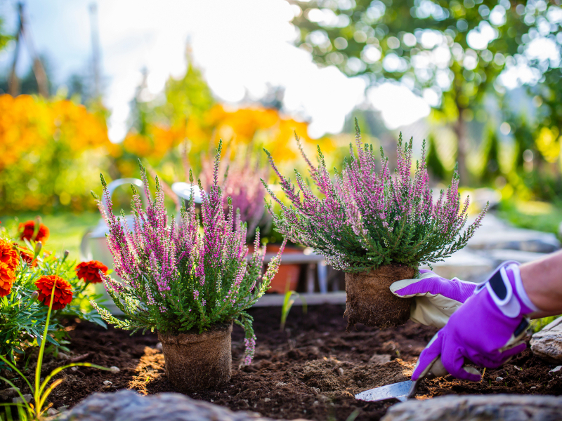 Des professionnels au service de votre jardin