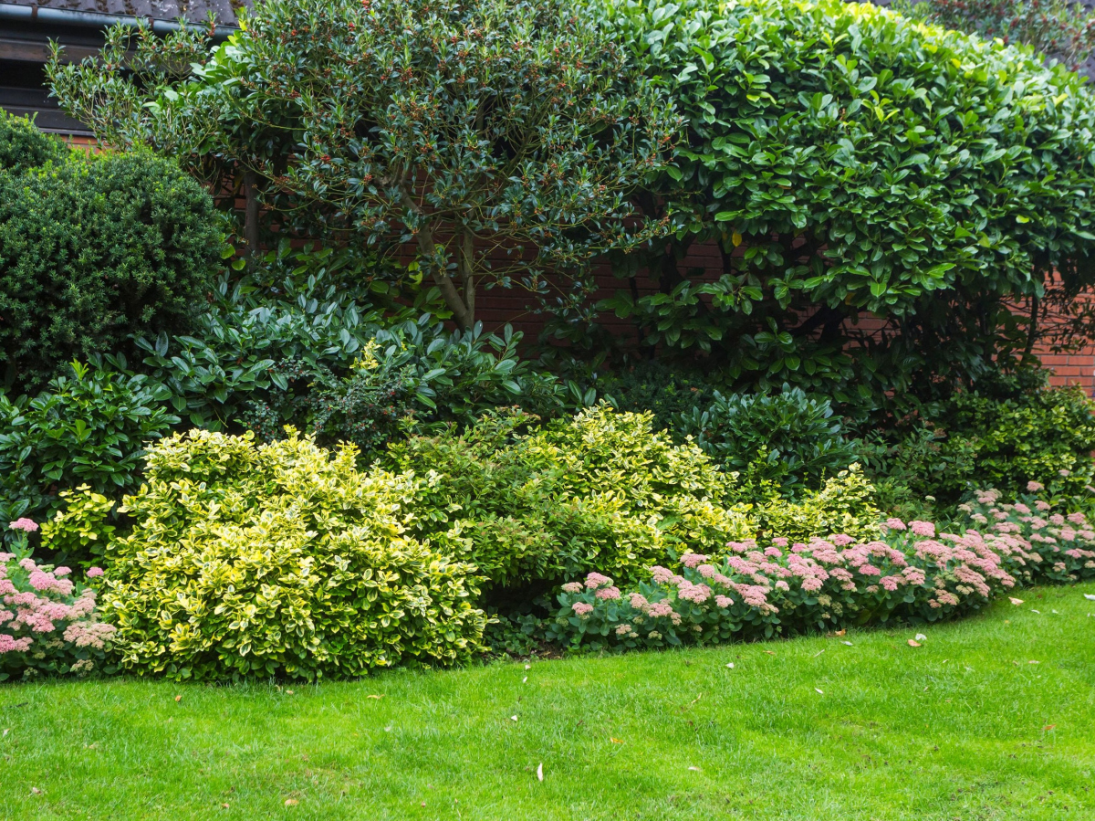 Création d'un parterre fleuri printanier