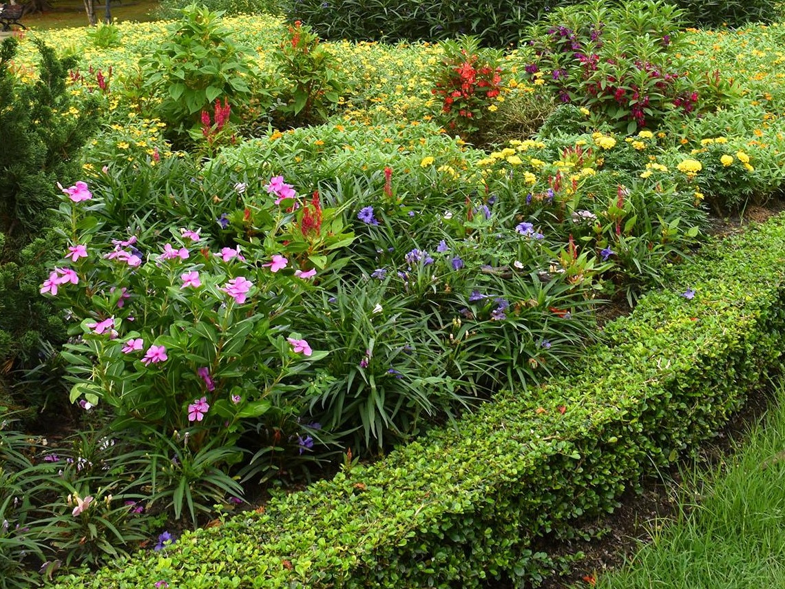 Création d'un parterre fleuri printanier