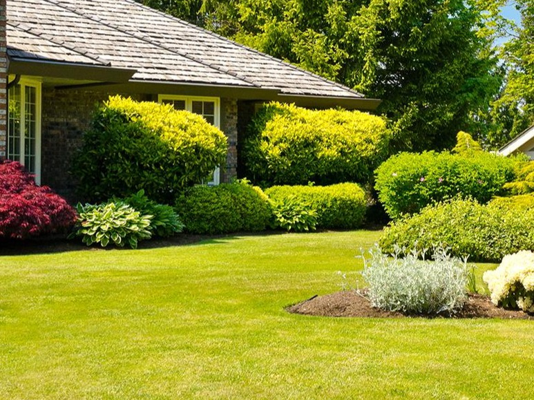 Création d'un parterre fleuri printanier