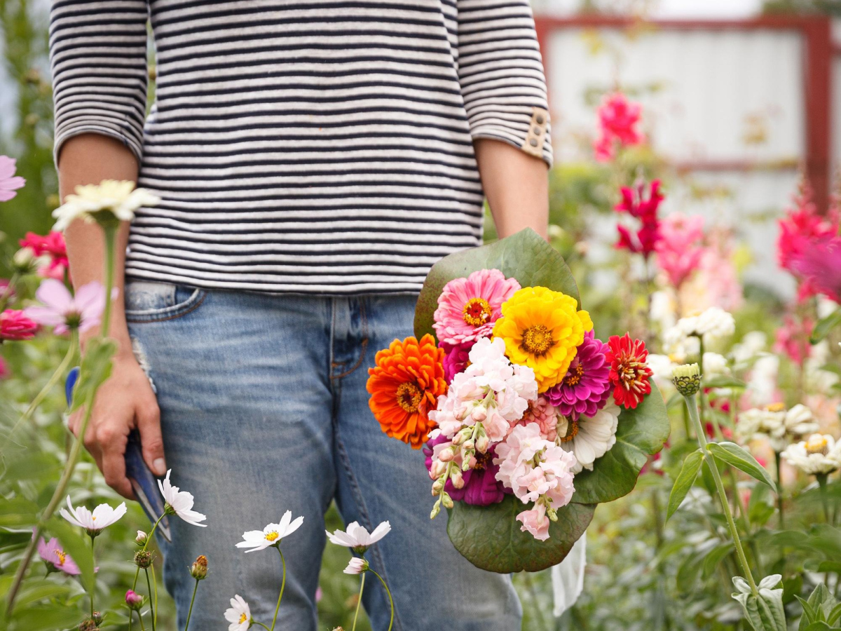 Taille de plantes fleuries