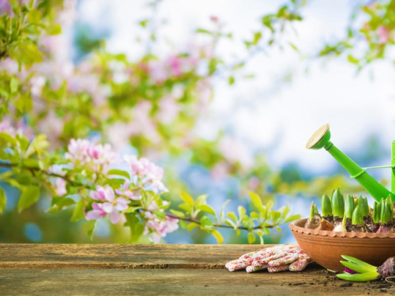 Comment avoir un massif fleuri toute l'année ?