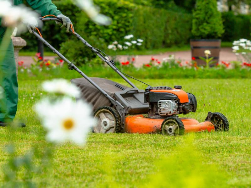 Comment préparer son terrain pour semer du gazon ?