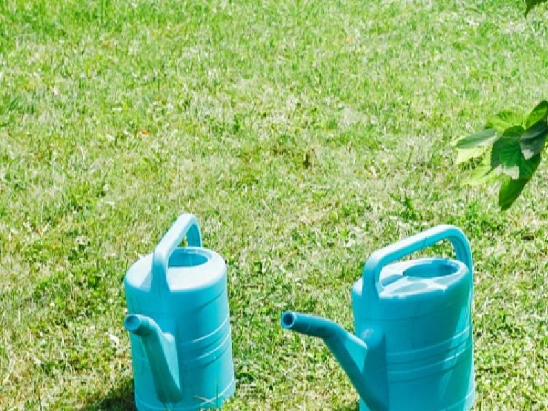 Préparer la plantation d'un arbre ou d'un arbuste