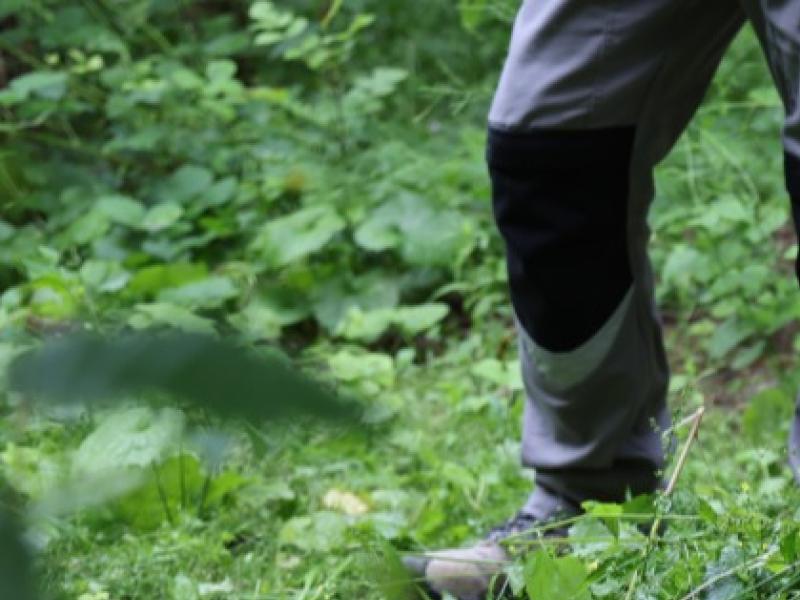 Les étapes de réflexion d'un jardin paysager