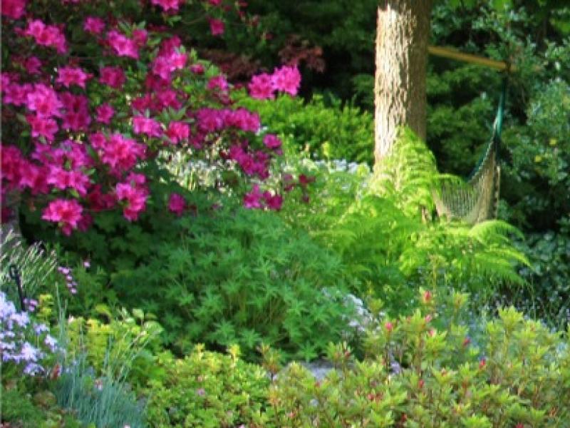 Entretien du jardin