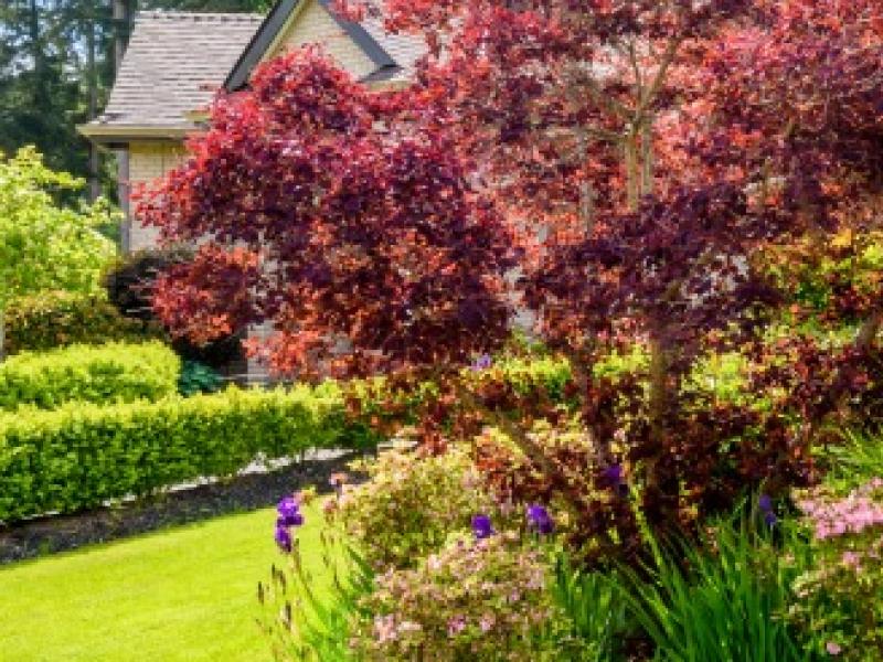 Jardinier Paysagiste : Une préparation experte du jardin