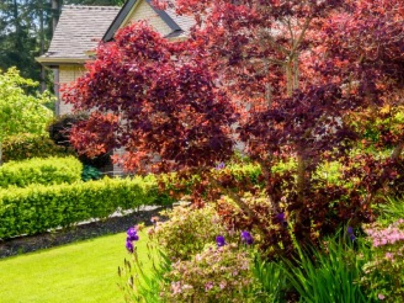 Une préparation experte du jardin