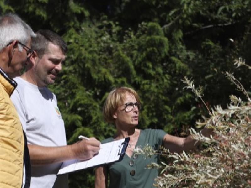 Jardinier Paysagiste : L'art de Créer et organiser des espaces