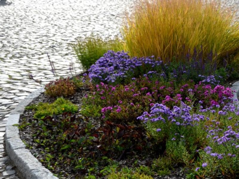 Taille de plantes vivaces, graminées, fougères