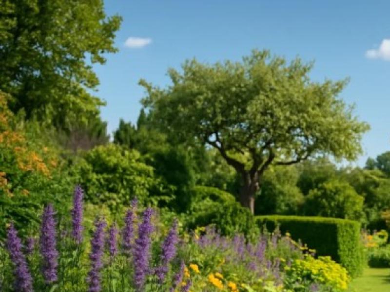 Le métier de Jardinier Paysagiste en France