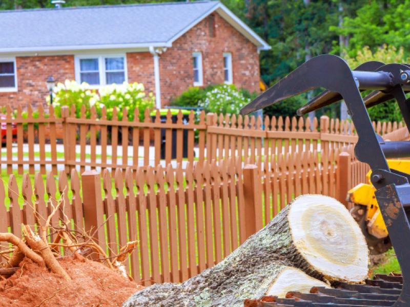 Dessouchage d’un arbre