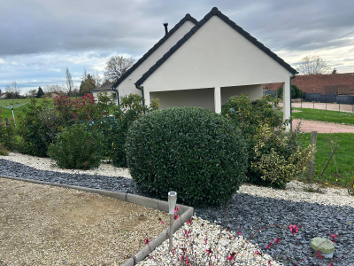 Taille de haies structurée