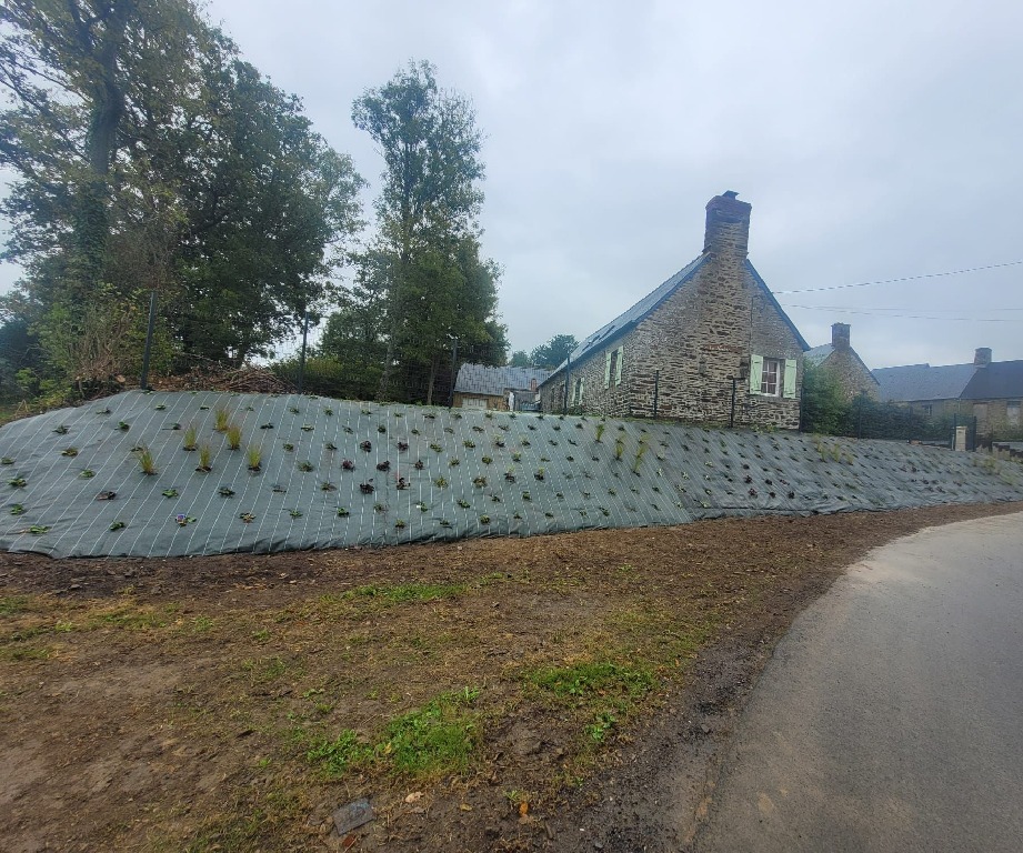 Retenue de terre sous paillage avec végétaux